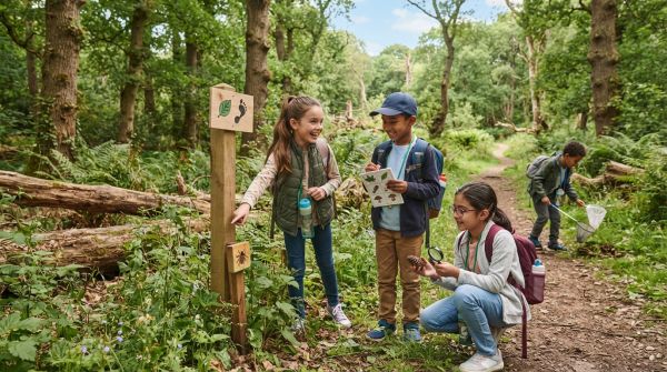 Quels conseils pour organiser une chasse aux indices en extérieur pour sensibiliser les enfants à l'écologie ?